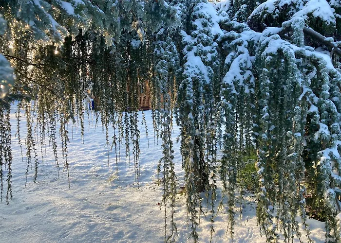 Ferienhaus Gartenblick