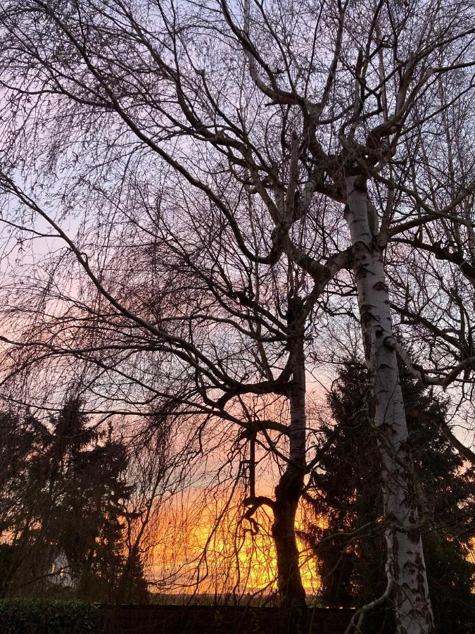 Gartenblick Brieden
