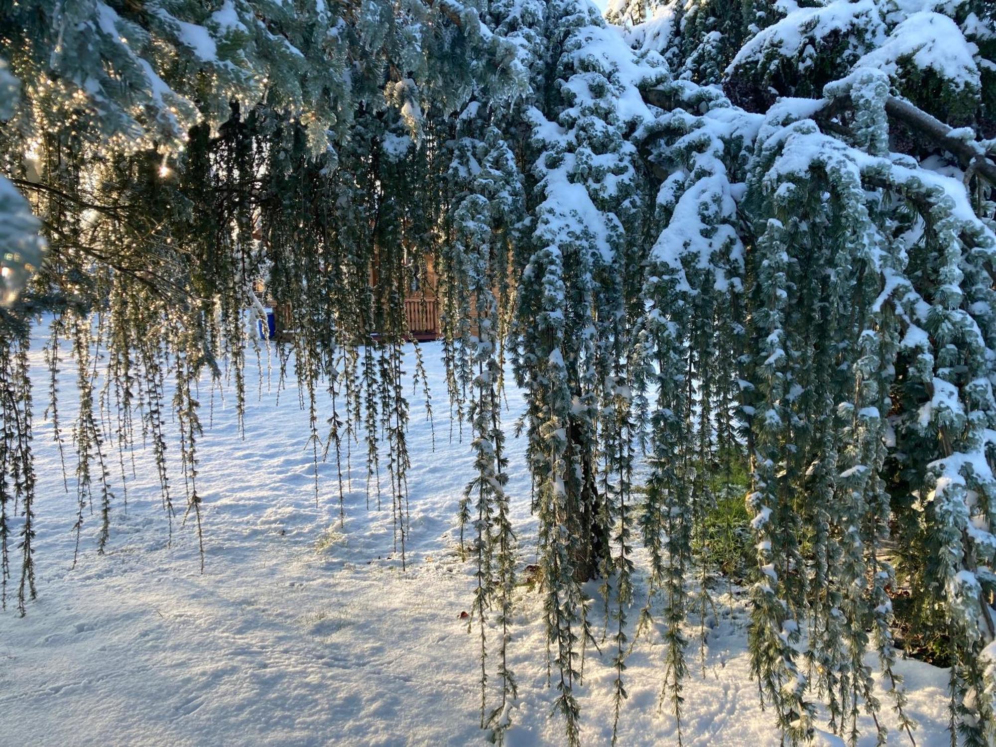 Ferienhaus Gartenblick