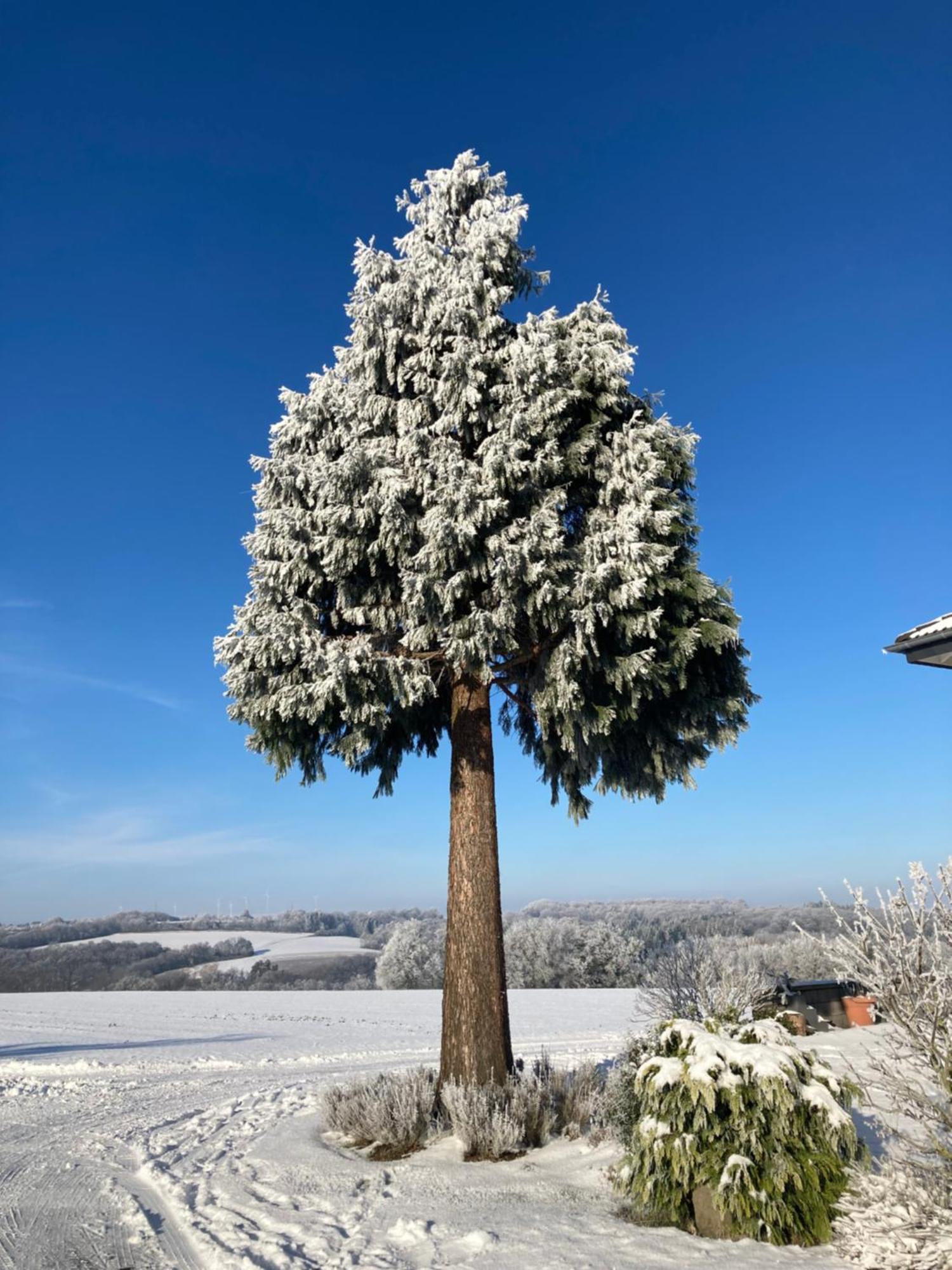 Gartenblick Ferienhaus