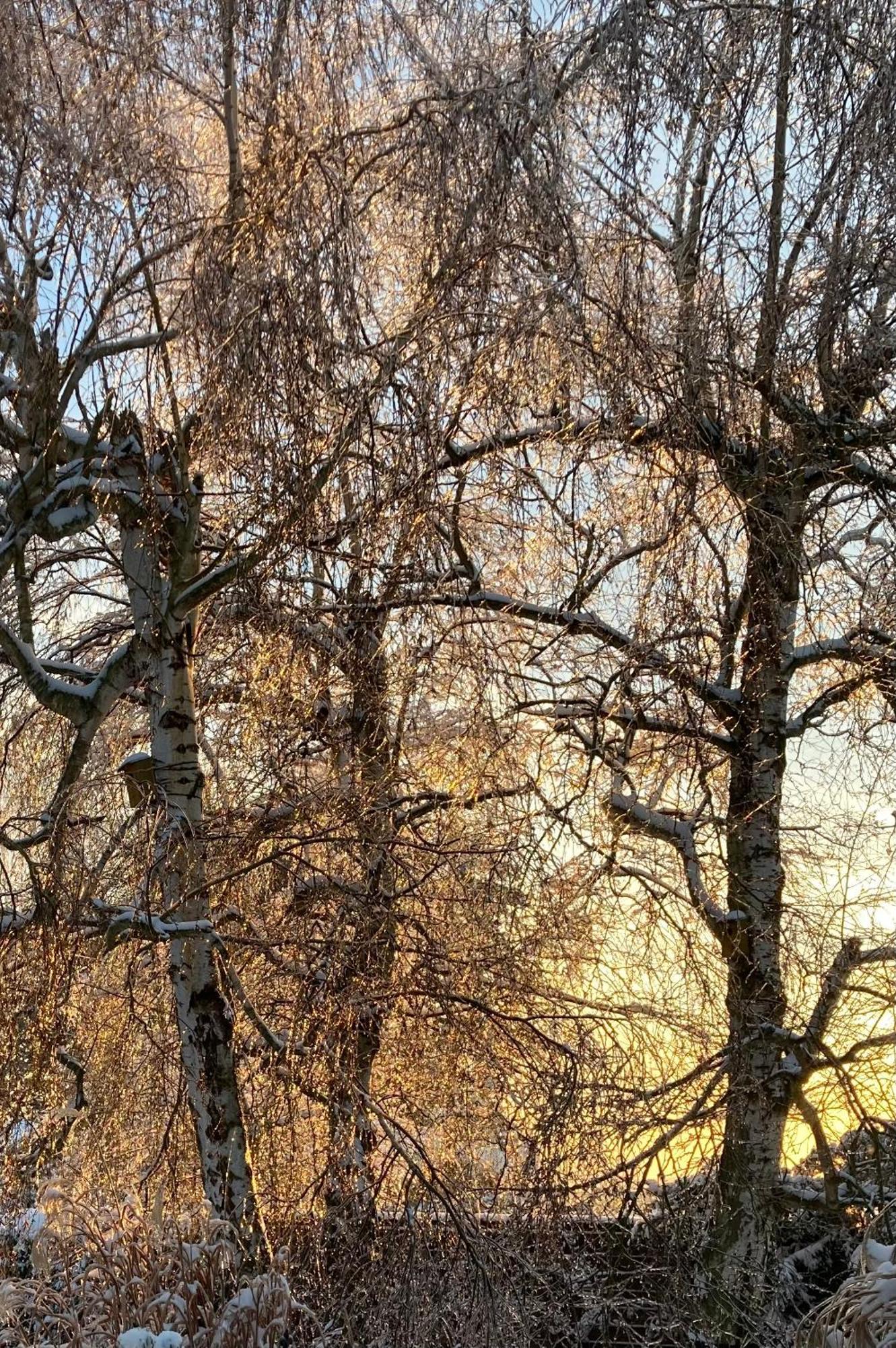 Ferienhaus Gartenblick *