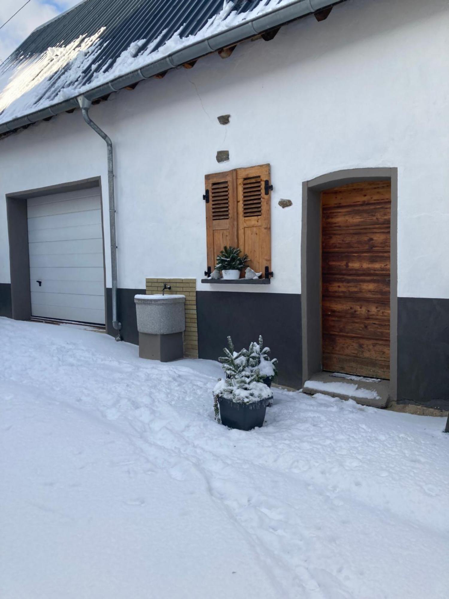 Ferienhaus Gartenblick *